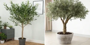 Artificial_Olive_Trees_vs._Real_Olive_Plants