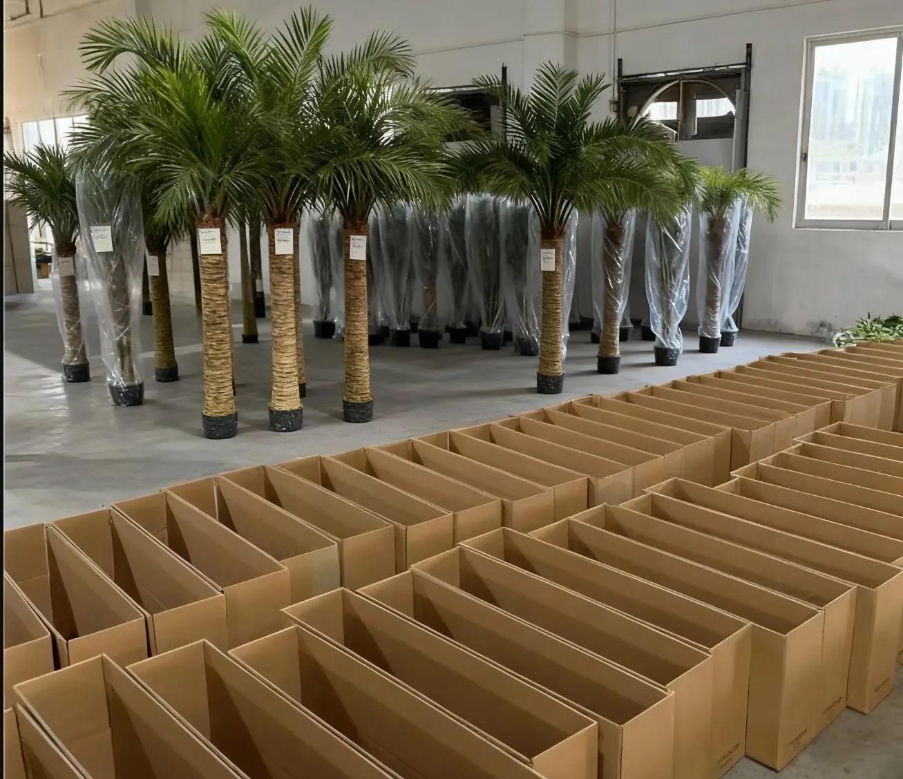 Secure_Export_Packaging_of_sago_palm_tree1 Secure_Export_Packaging_of_sago_palm_tree1