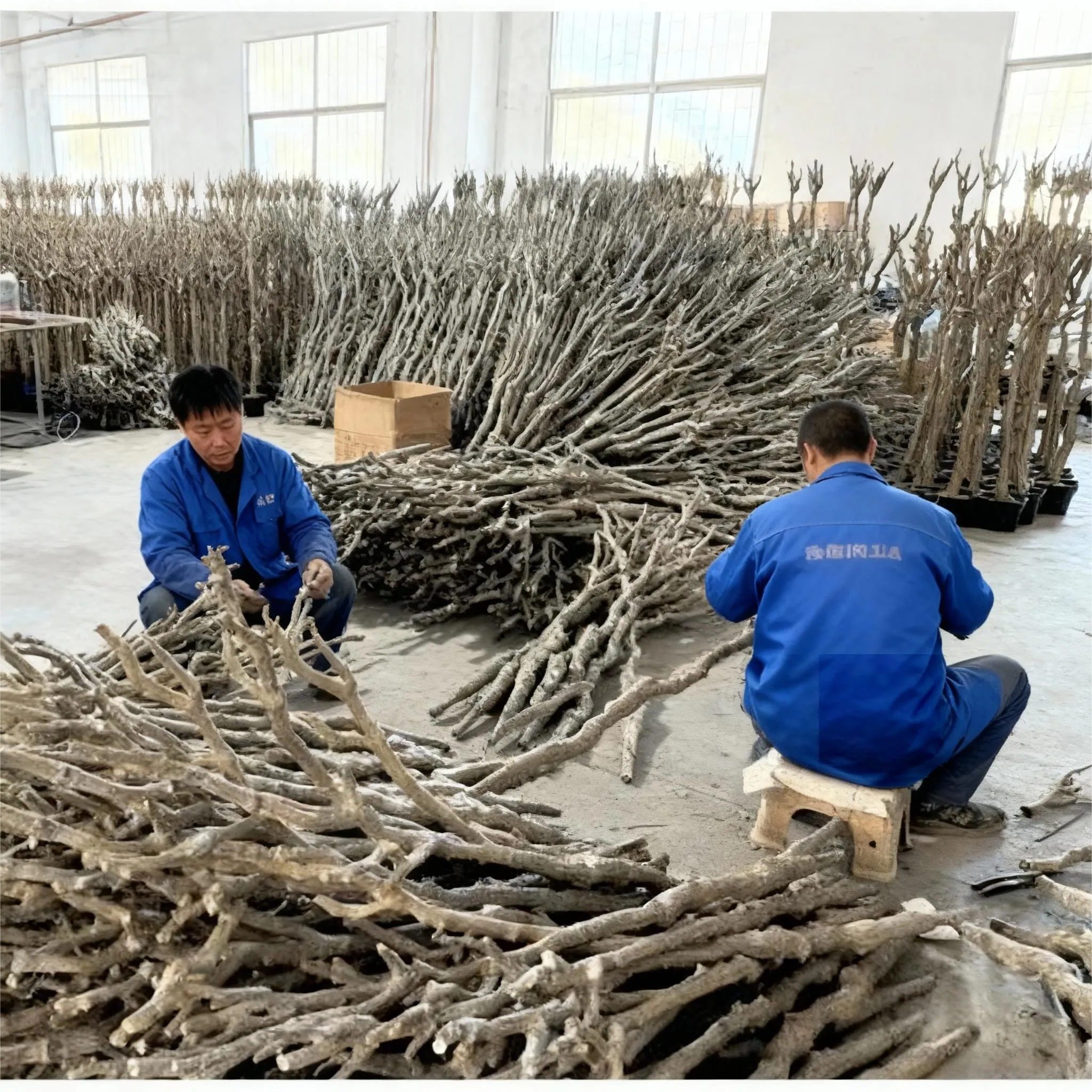 Trunk_Structure_Fabrication_of_artificial_sago_palm_plants