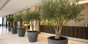 artificial_olive_trees_for_business_Decoration