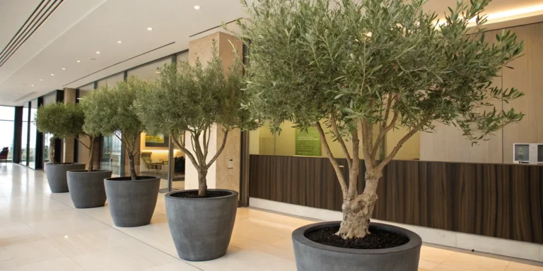 artificial_olive_trees_for_business_Decoration