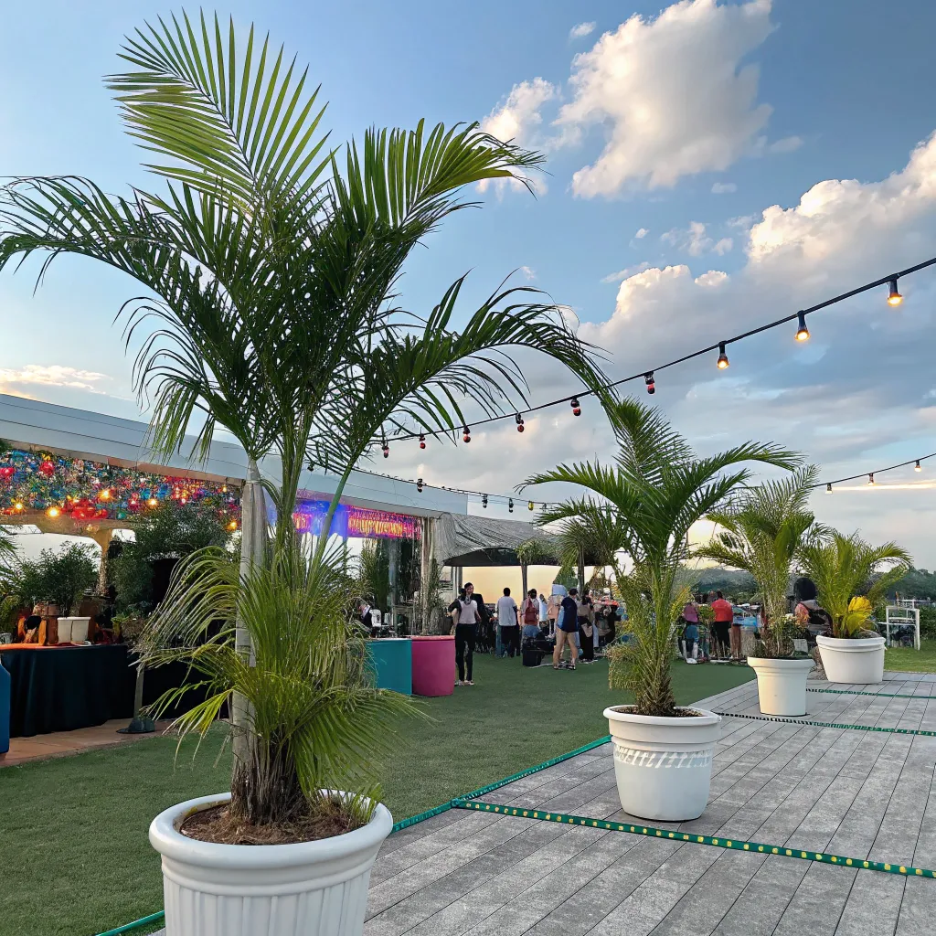 outdoor_event_with_areca__palm_decoration