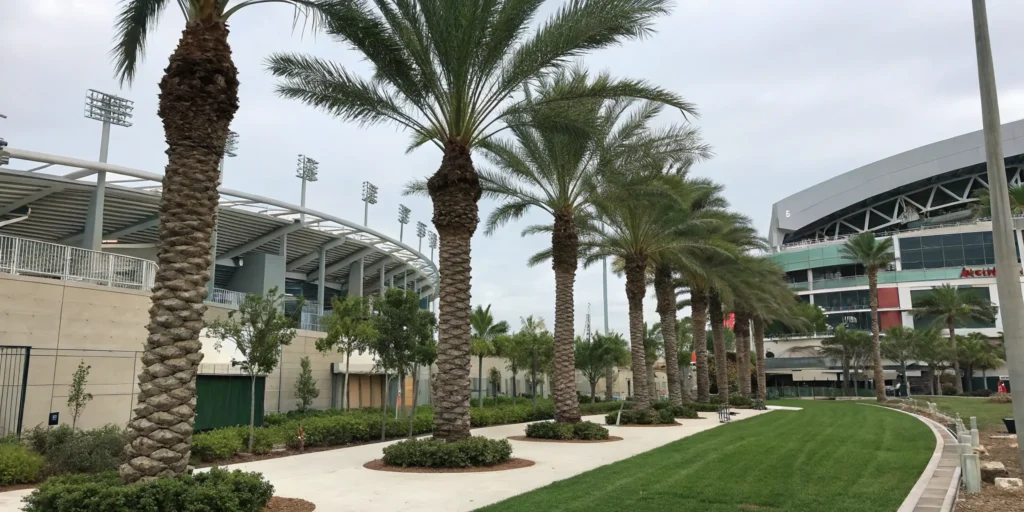 Large_palm_trees_installations_for_Outdoor